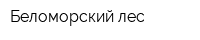 Беломорский лес