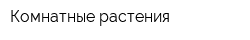 Комнатные растения