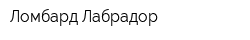 Ломбард-Лабрадор