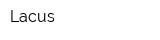 Lacus