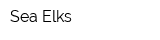 Sea Elks