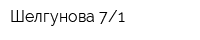 Шелгунова 71