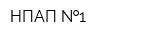 НПАП  1