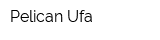 Pelican Ufa