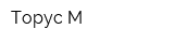 Торус-М