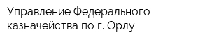 Управление Федерального казначейства по г Орлу