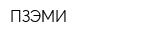 ПЗЭМИ