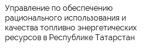 Управление по обеспечению рационального использования и качества топливно-энергетических ресурсов в Республике Татарстан