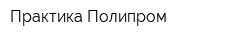 Практика Полипром
