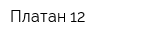 Платан-12