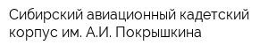Сибирский авиационный кадетский корпус им АИ Покрышкина