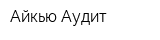 Айкью Аудит