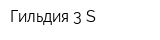 Гильдия 3-S