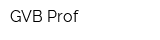 GVB Prof
