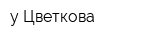 у-Цветкова
