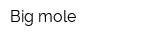 Big mole