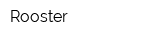 Rooster