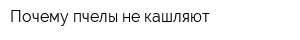 Почему пчелы не кашляют