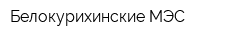 Белокурихинские МЭС
