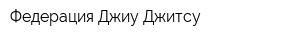 Федерация Джиу Джитсу