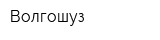 Волгошуз