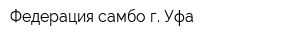 Федерация самбо г Уфа
