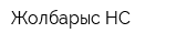Жолбарыс-НС