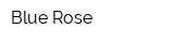 Blue Rose