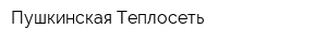 Пушкинская Теплосеть