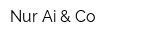 Nur Ai & Co