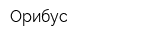 Орибус