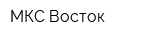 МКС Восток