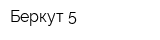 Беркут-5