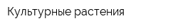 Культурные растения