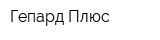 Гепард Плюс
