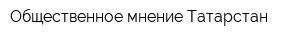 Общественное мнение-Татарстан