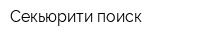 Секьюрити-поиск