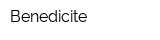 Benedicite
