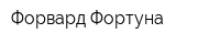 Форвард-Фортуна