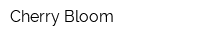 Cherry Bloom