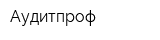 Аудитпроф