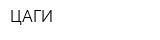 ЦАГИ