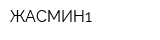 ЖАСМИН1