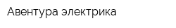Авентура-электрика