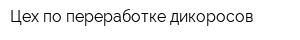 Цех по переработке дикоросов