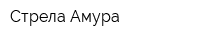 Стрела Амура